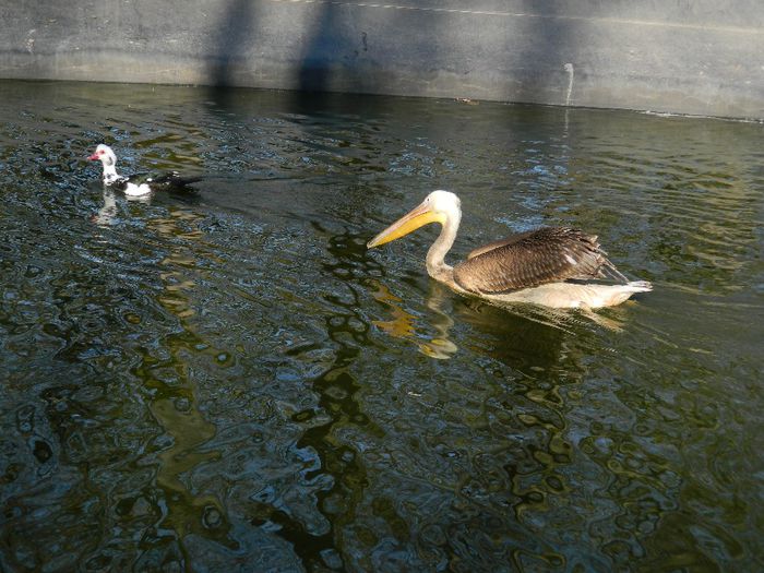 DSCN3024 - 1 MARTIE_2 2014