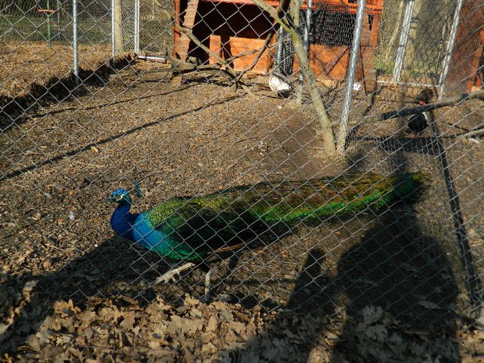 DSCN3033 - 1 MARTIE_2 2014