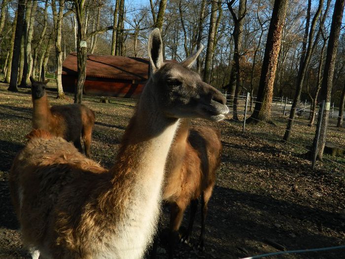 DSCN3041 - 1 MARTIE_2 2014