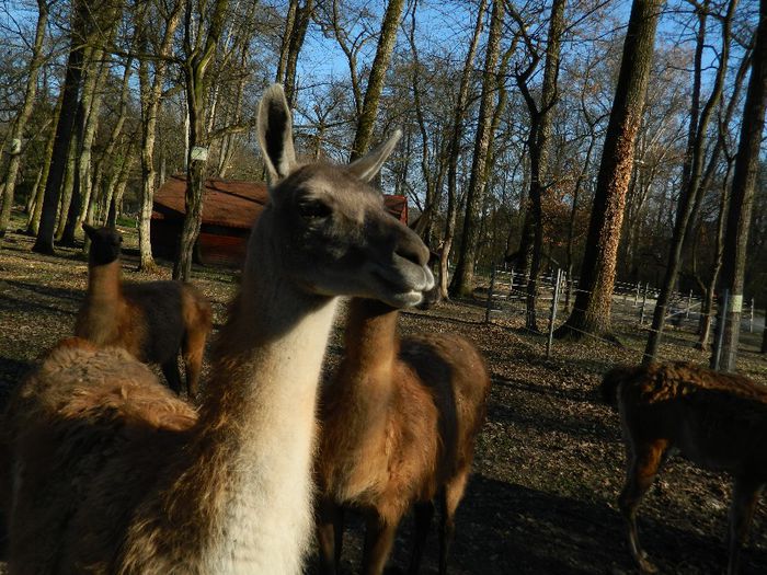 DSCN3042 - 1 MARTIE_2 2014