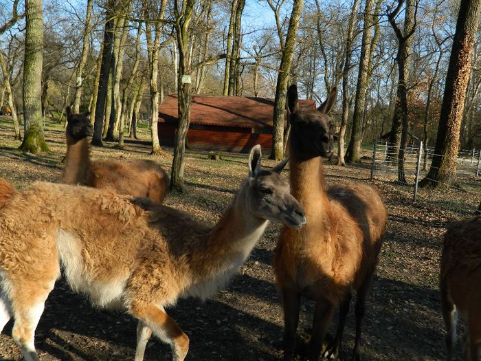 DSCN3043 - 1 MARTIE_2 2014