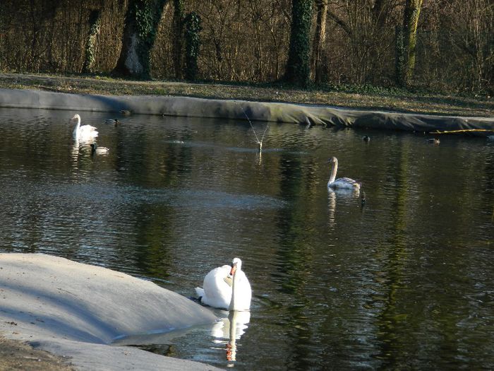 DSCN3052 - 1 MARTIE_2 2014