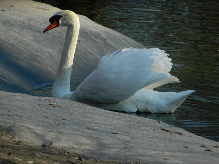 DSCN3054 - 1 MARTIE_2 2014