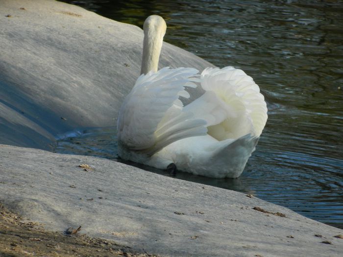 DSCN3055 - 1 MARTIE_2 2014