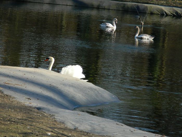 DSCN3057 - 1 MARTIE_2 2014