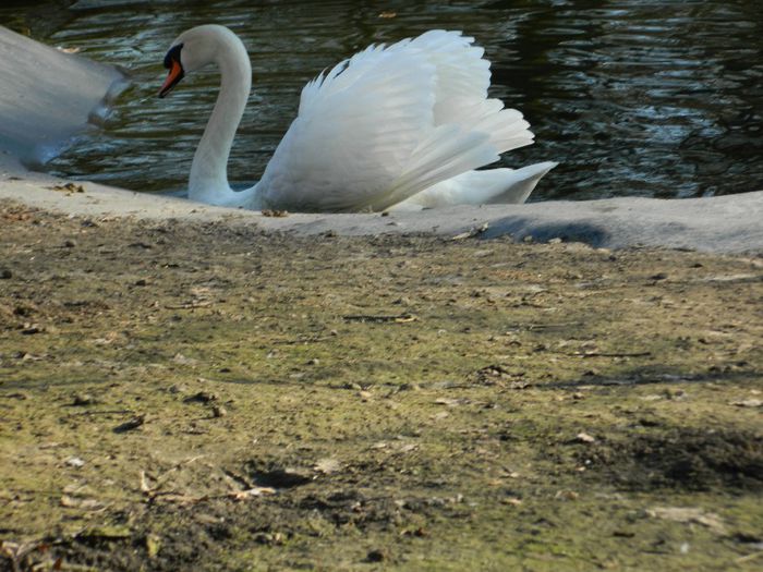 DSCN3060 - 1 MARTIE_2 2014