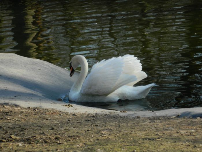 DSCN3061 - 1 MARTIE_2 2014