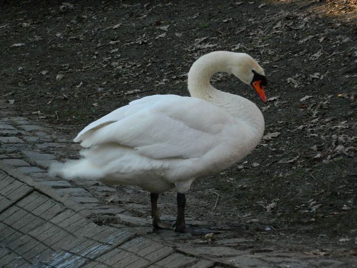 DSCN3089 - 1 MARTIE_2 2014