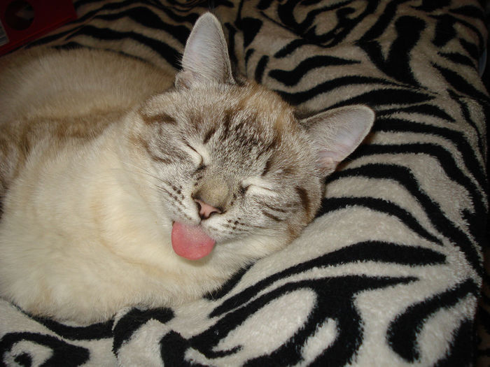 a uitat limba afara cand a adormit...