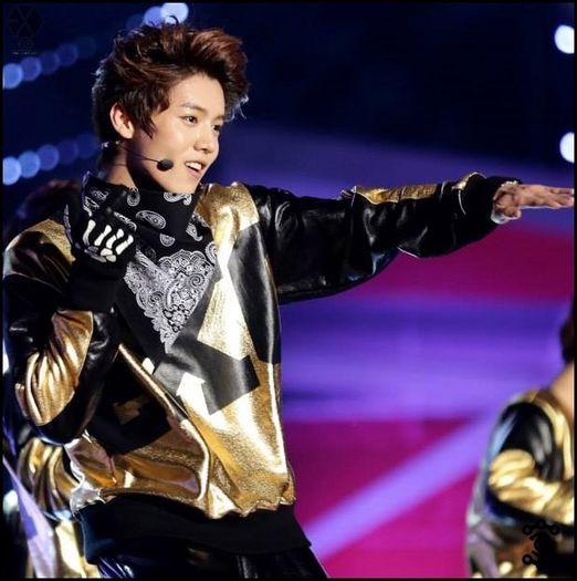 140212 LuHan @3rd Gaon Chart KPOP Awards.013 - exo - 140212 LuHan -3rd Gaon Chart KPOP Awards