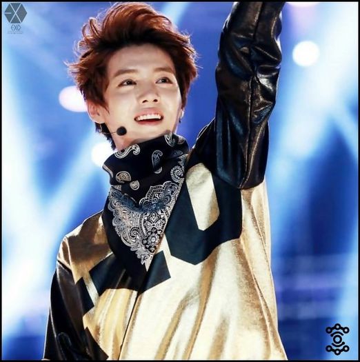 140212 LuHan @3rd Gaon Chart KPOP Awards.071