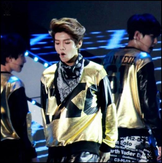 140212 LuHan @3rd Gaon Chart KPOP Awards.075