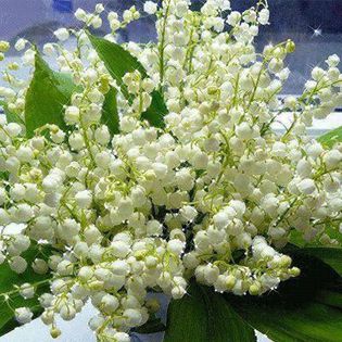 164248_274501236018741_281915725_n