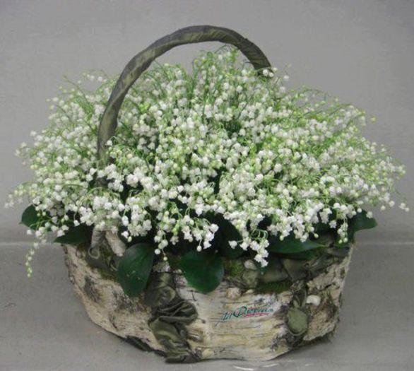 535469_250789275056604_1725302536_n[1]