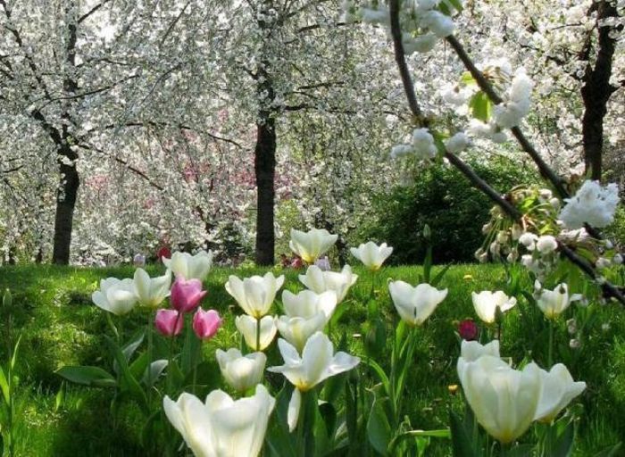 644378_518515804857905_1901377459_n