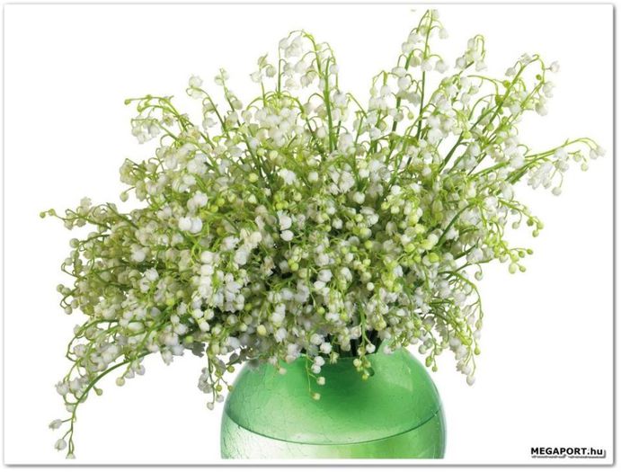 1653486_261499354024738_1408549274_n - A venit Primavara