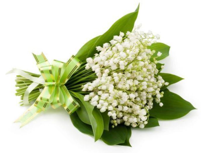 1653526_652522408139746_749850713_n - A venit Primavara