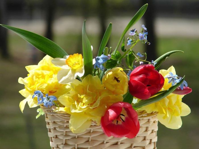 1795186_231230567061145_1873932422_o