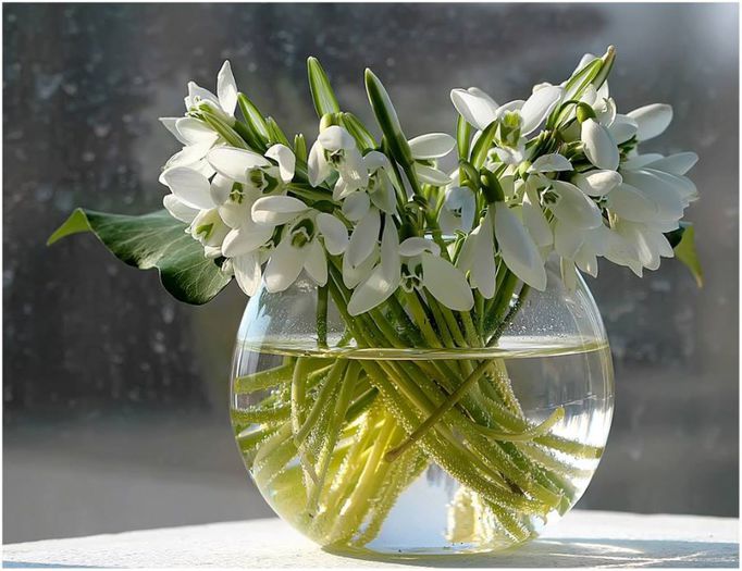 1956937_408786689265219_1900250304_o - A venit Primavara