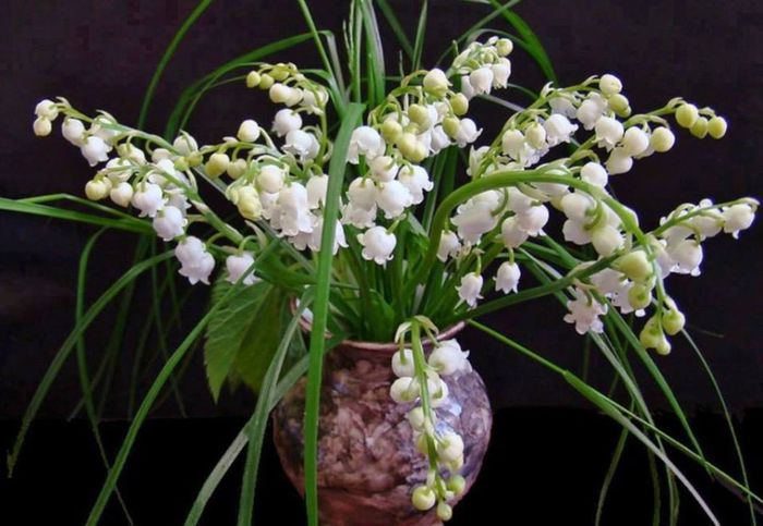 1959578_630328123689641_931531181_n - A venit Primavara