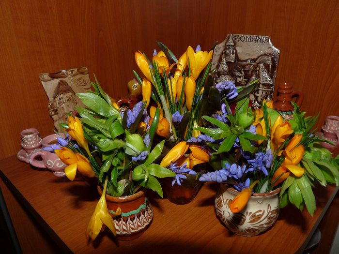 P1040548 - A venit Primavara