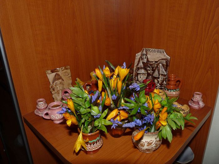 P1040549 - A venit Primavara