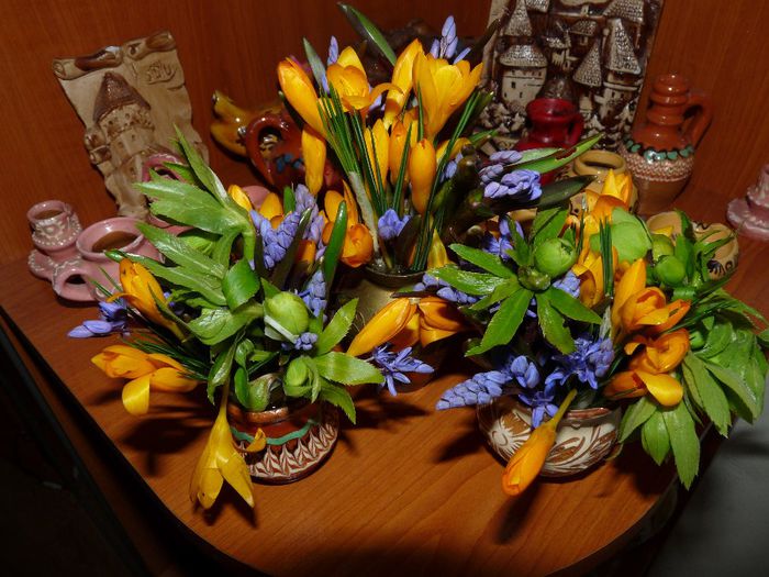 P1040550 - A venit Primavara