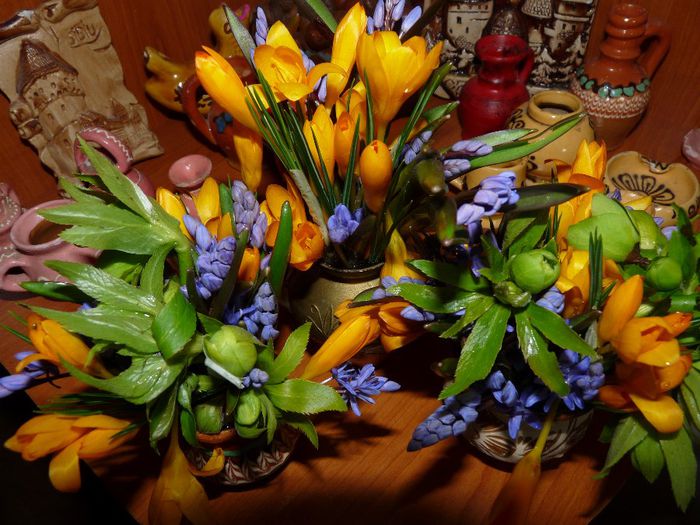 P1040551 - A venit Primavara