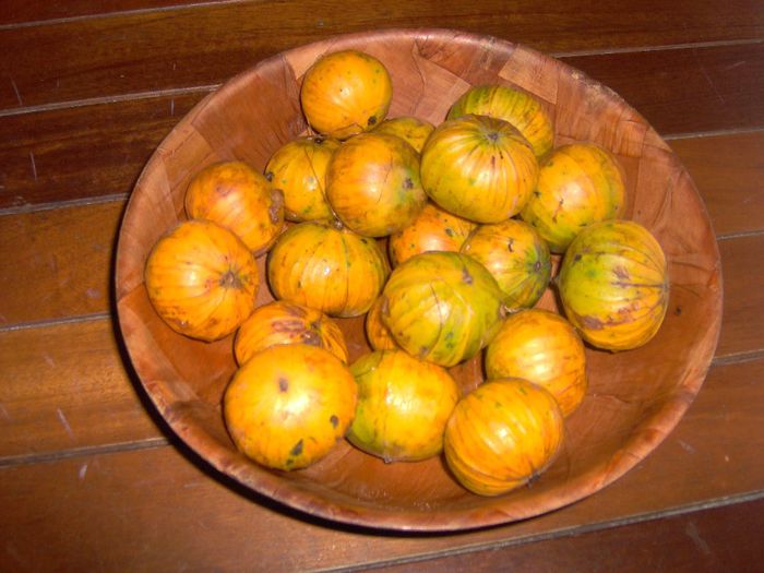 plinia edulis - a-alte seminte rare
