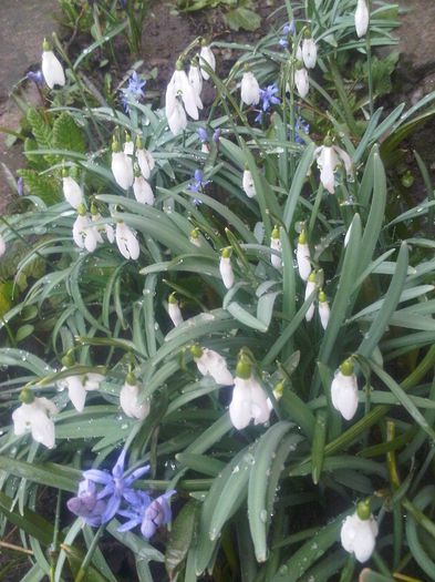 IMG00462-20140303-0830