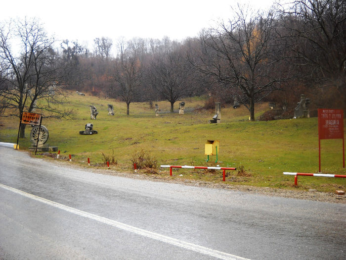 Picture 022 - buzaul