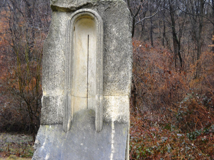 Picture 032 - buzaul