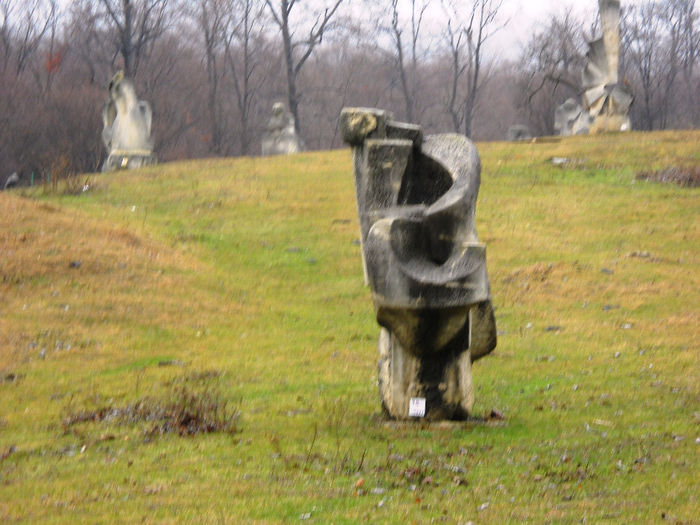 Picture 035 - buzaul