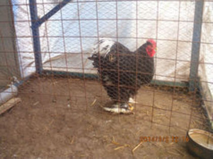95865741_BNDKYIT - TINERET 2013 2