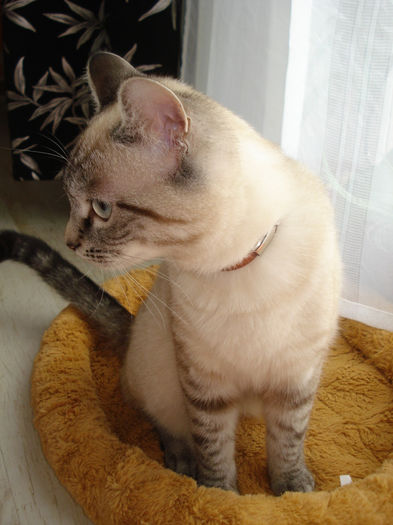 nu vreau sa-mi faci poze...