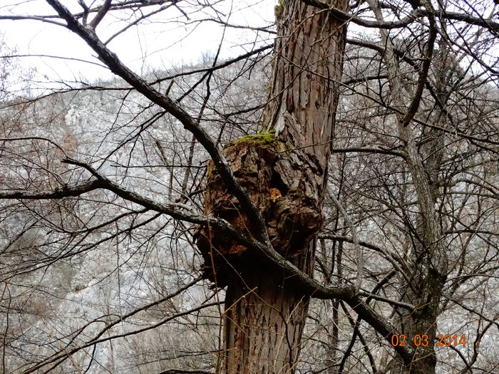 DSC00781 - Peisaje 2014 si alte imagini