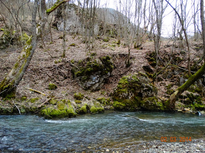 DSC00764 - Peisaje 2014 si alte imagini