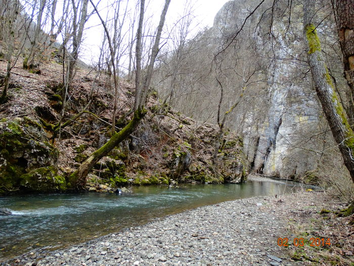DSC00763 - Peisaje 2014 si alte imagini