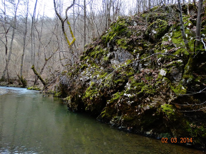 DSC00760 - Peisaje 2014 si alte imagini