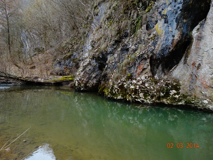 DSC00758 - Peisaje 2014 si alte imagini