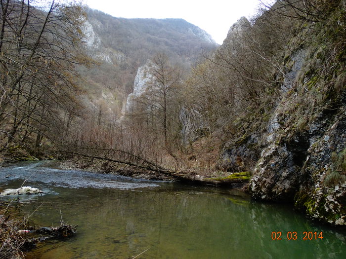 DSC00756 - Peisaje 2014 si alte imagini