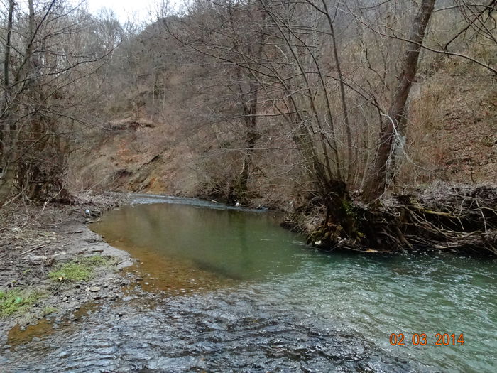 DSC00696 - Peisaje 2014 si alte imagini