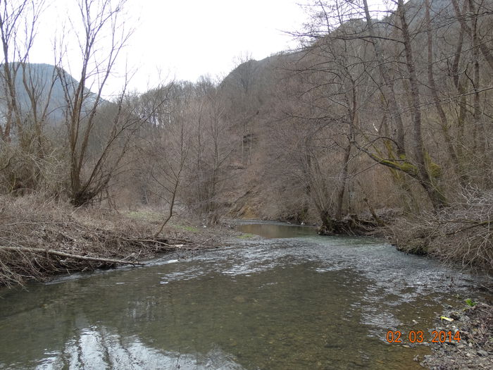 DSC00687 - Peisaje 2014 si alte imagini