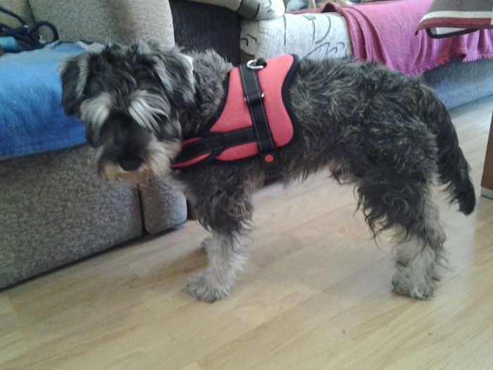20140304_121934 - Enzo
