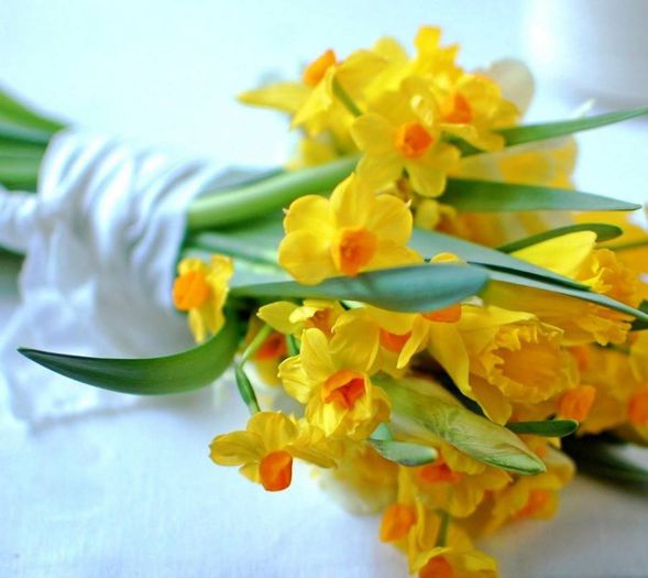 1451378_414159025394652_298289290_n - A venit Primavara