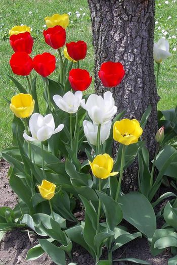 10006593_415161515294403_905072615_n