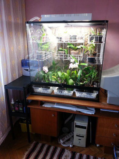 20140302_140848