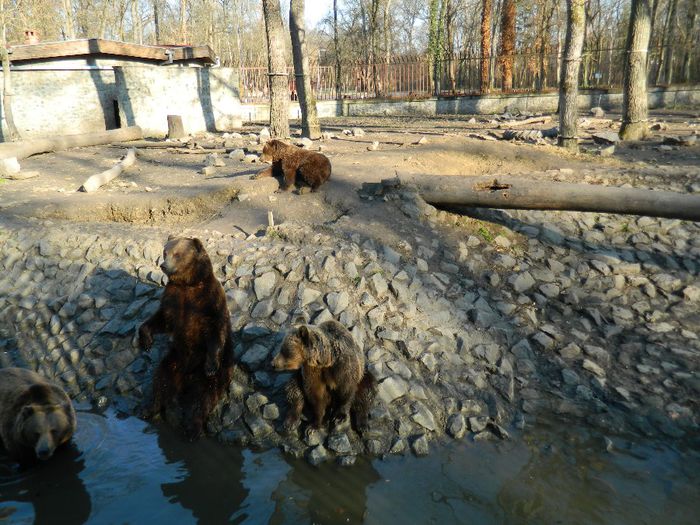 DSCN3098 - 1 MARTIE_2 2014