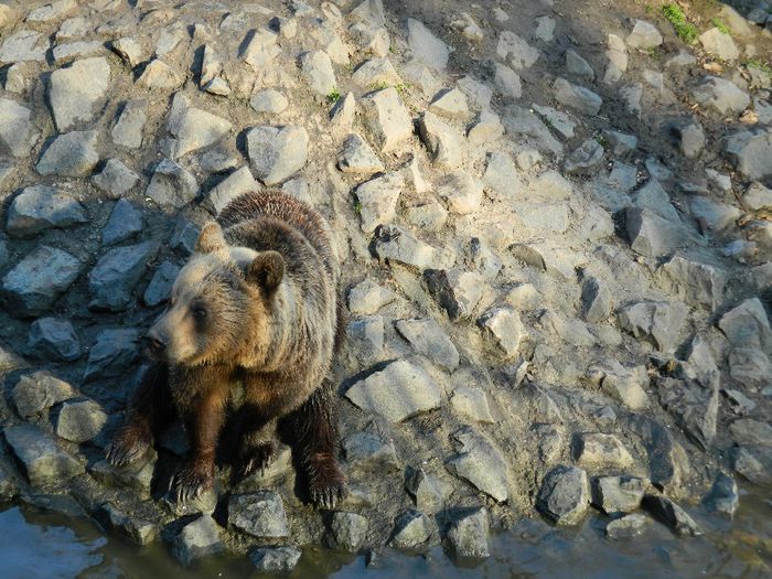 DSCN3102 - 1 MARTIE_2 2014