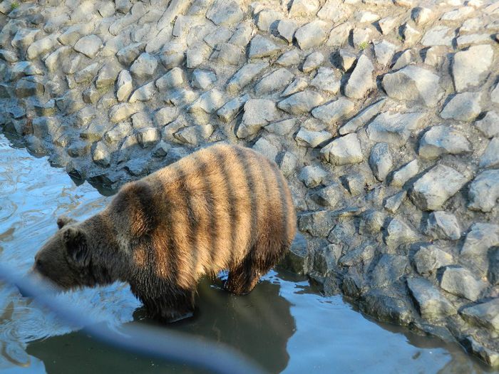 DSCN3103 - 1 MARTIE_2 2014